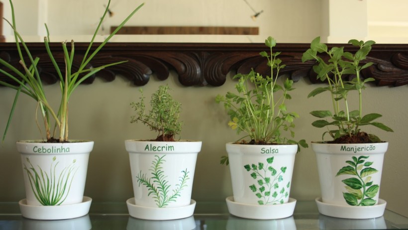 b4e7d6_06851943eaa3482b9e11d3640f59d6c6